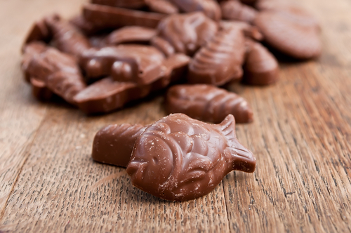 Achat en ligne moulages en chocolat - Chocolatier Saint-Brieuc